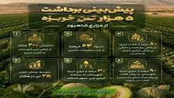   پیش‌بینی برداشت ۵ هزار تن خربزه از مزارع شاهرود/ ارگون رقم غالب کشت در منطقه